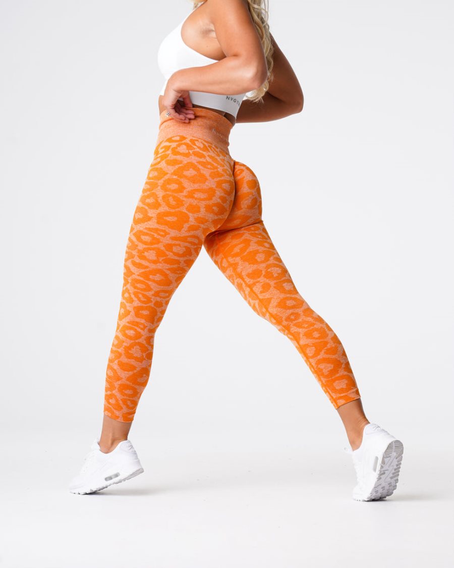 Orange Women's NVGTN Leopard Seamless Leggings Dubai | pGSogl0p